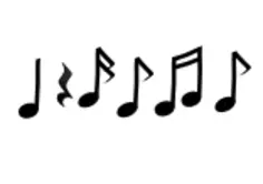Black and white musical notes vector image