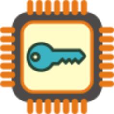 Crypto computer chip vector image