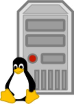 Color vector image of Linux server