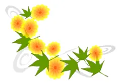 Yellow flowers and green leaves vector image