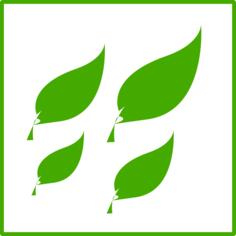 Eco green leaves icon vector image