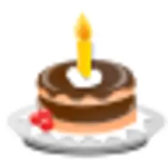 Birthday icon vector image