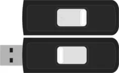 Sandisk Cruzer Micro 4GB flash drive vector image