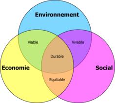 Durable development vector diagram