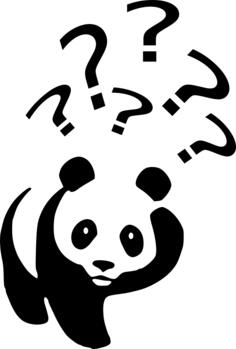 Why panda vector image