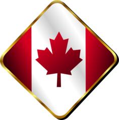 Canadian badge vector image