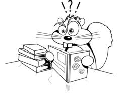 Studying squirrel vector image