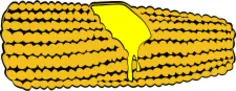 Vector drawing of corn