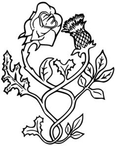 Rose and thistle vector image
