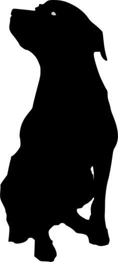 Rottweiler vector image