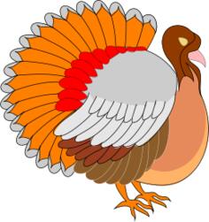 Turkey vector image