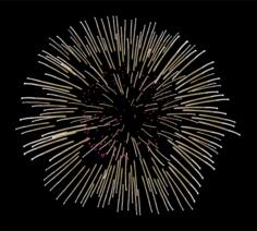 Fireworks vector image