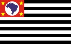 Bandeira de Sao Paulo flag vector image