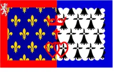 Pays de la Loire region flag vector image