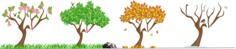 Trees vector image