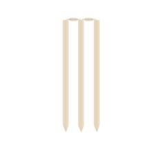 Cricket stumps and rails vector image