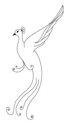 Peacock line vector drawing