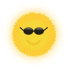 Cool Sun vector image