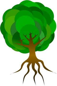 Tree vector illustration