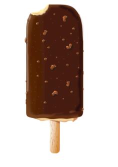Chocolate ice cream vector image