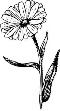 Monochrome flower vector illustration