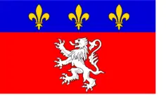 Lyonnais region flag vector illustration