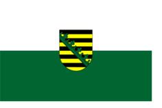 Flag of Saxony vector image