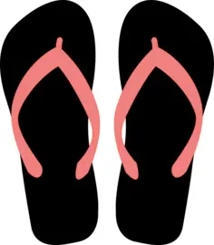 Flipflops vector image