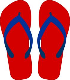 Flipflops vector drawing
