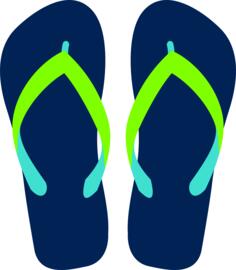 Flipflops vector image