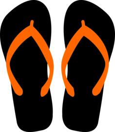 Flipflops vector illustration