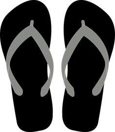 Flipflops vector image