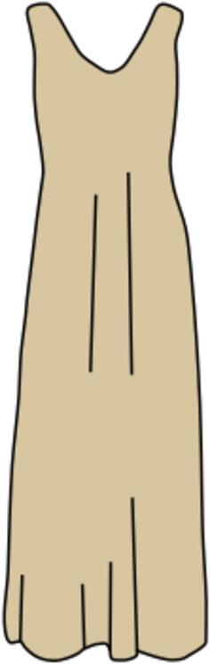 Brown dress vector image