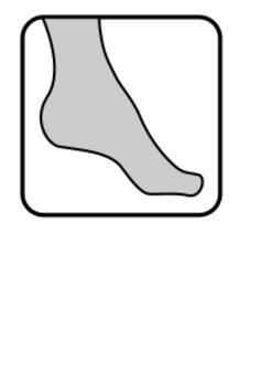Foot in tights icon vector image