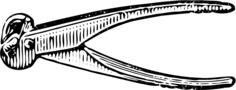 Pinchers vector illustration