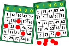 Bingo cards vector image