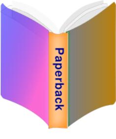 Paperback book icon vector image