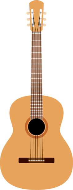 Guitar musical instrument vector image