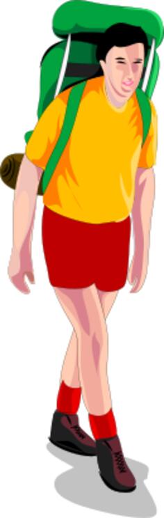 Male trekker vector image