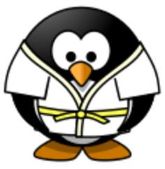 Judo penguin vector image