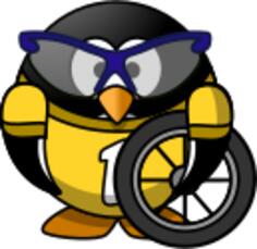 Cyclist penguin vector image