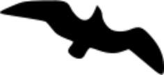 Flying gull vector image