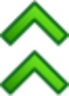 Double arrow pointing up vector image