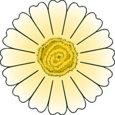 Vector clip art of daisy petals