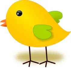 Yellow chick vector image