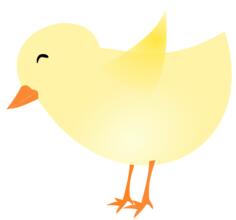 Vector image of a chick