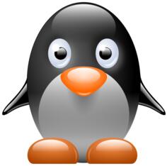 Little penguin vector image