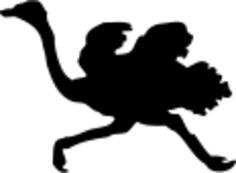 Ostrich silhouette vector drawing