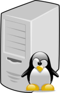 Linux server vector image