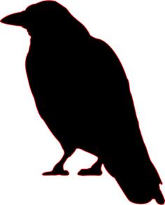 Silhouette image of a crow